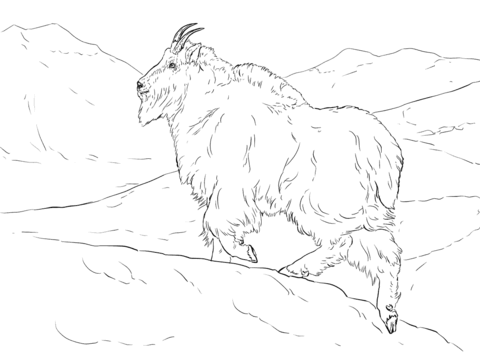 Realistic Mountain Goat Coloring Page